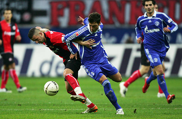 从而制定出 从而制定出