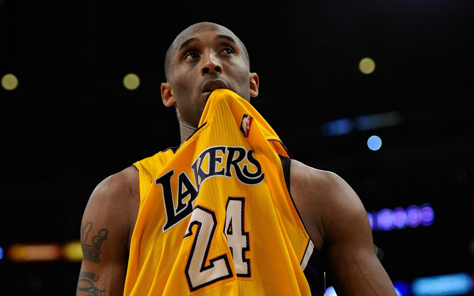 和政策支持 和政策支持